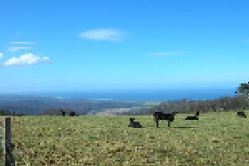 St Marys Seaview Farm - Accommodation Brunswick Heads 0