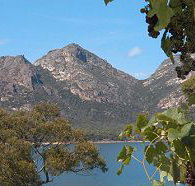 Freycinet on the Bay - Accommodation Brunswick Heads