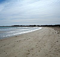 Greens Beach Caravan Park - Accommodation Brunswick Heads