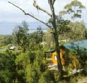 Partridge Farm - Accommodation Brunswick Heads