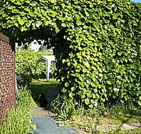 Kirra Guest House - Accommodation Brunswick Heads