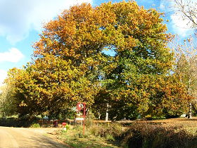 Golconda TAS Accommodation Brunswick Heads