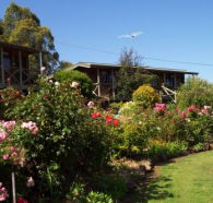 Mole Creek Holiday Village - Accommodation Brunswick Heads