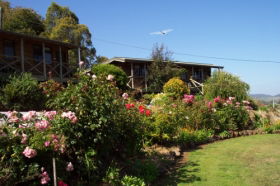 Mole Creek Holiday Village - Accommodation Brunswick Heads 0