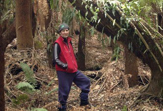Forest Walks Lodge - Eco-Accommodation - Accommodation Brunswick Heads 3