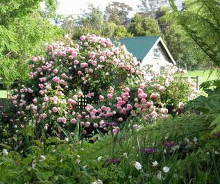 Conmel Cottage - Accommodation Brunswick Heads 2