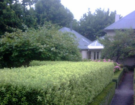 Old Wesleydale Heritage Accommodation - Accommodation Brunswick Heads 3