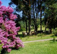 Figlea Cottages - Accommodation Brunswick Heads