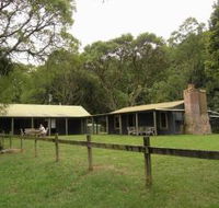 Tree Fern Lodge - Accommodation Brunswick Heads