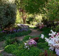Wombat Hill Bed and Breakfast - Accommodation Brunswick Heads