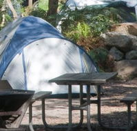 Booderee National Park - Accommodation Brunswick Heads