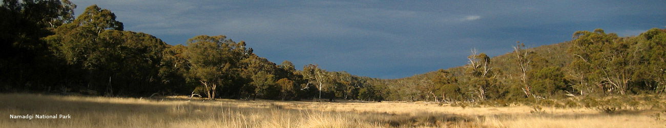 Tharwa ACT Accommodation Brunswick Heads