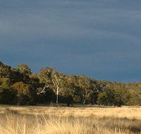 Namadgi National Park - Accommodation Brunswick Heads