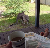 Bush and Bay Cottage - Accommodation Brunswick Heads