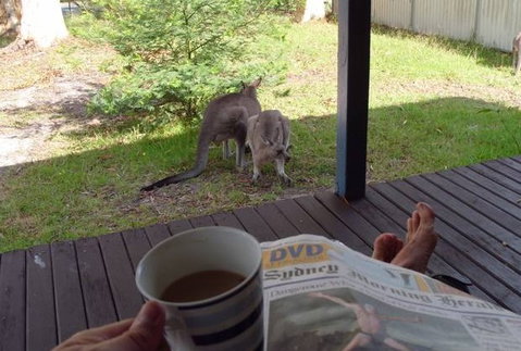 Bush And Bay Cottage - Accommodation Brunswick Heads 0