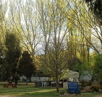 Snowy River Holiday Park - Accommodation Brunswick Heads