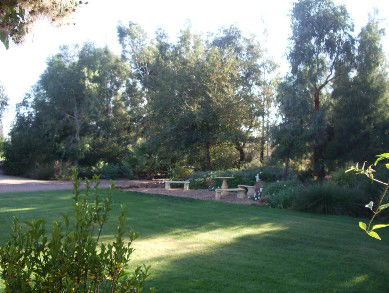 Wilga Park Cottage - Accommodation Brunswick Heads 4