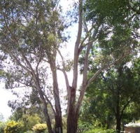 The Church House B and B - Accommodation Brunswick Heads