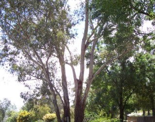 The Church House B And B - Accommodation Brunswick Heads 0