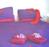Aloomba Lavender - Accommodation - Accommodation Brunswick Heads