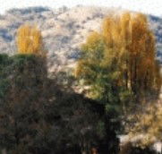 Birches Bed and Breakfast at Nundle - Accommodation Brunswick Heads