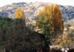 Birches Bed And Breakfast At Nundle - Accommodation Brunswick Heads 0