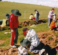 Banderra B and B Farmstay - Accommodation Brunswick Heads