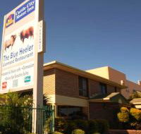 Best Western Cattle City Motor Inn - Accommodation Brunswick Heads