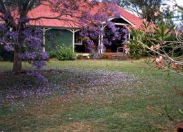 Minmore Farmstay Bed And Breakfast - Accommodation Brunswick Heads 0