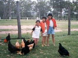 Minmore Farmstay Bed And Breakfast - Accommodation Brunswick Heads 1