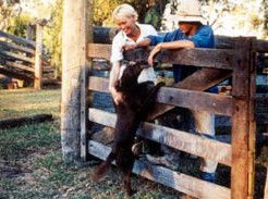 Minmore Farmstay Bed And Breakfast - Accommodation Brunswick Heads 2