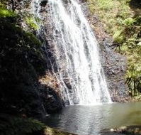 Binna Burra Mountain Lodge - Accommodation Brunswick Heads