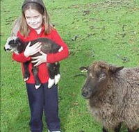 Cinnamon Coloureds Farmstay - Accommodation Brunswick Heads