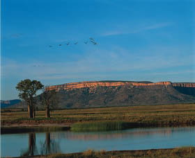 El Questro Homestead - Accommodation Brunswick Heads 0