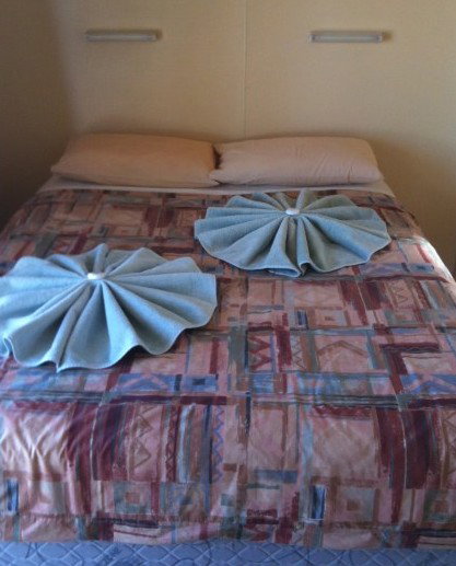 Wauchope Hotel - Accommodation Brunswick Heads 4