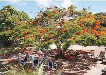 Barnacles Backpackers - Accommodation Brunswick Heads 1