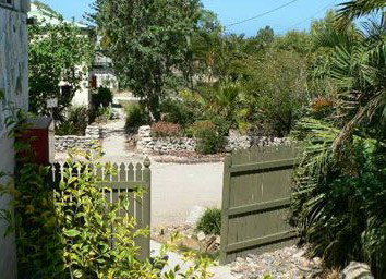 Barnacles Backpackers - Accommodation Brunswick Heads 5