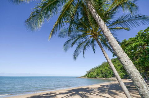 Roydon Beachfront Holiday Apartments - Accommodation Brunswick Heads 4