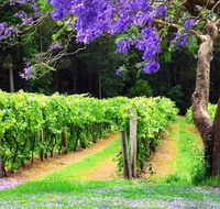Bago Vineyards - Accommodation Brunswick Heads