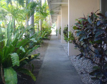 Palm Waters Holiday Villas - Accommodation Brunswick Heads 2