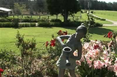 Jacaranda Country Lodge - Accommodation Brunswick Heads 2