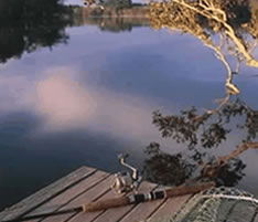 Jacaranda Country Lodge - Accommodation Brunswick Heads 4