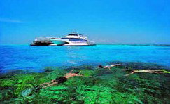 Port O' Call Eco Lodge - Accommodation Brunswick Heads 2