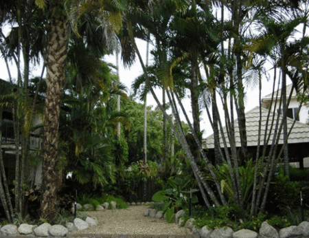 High Chaparral Motel And Apartments - Accommodation Brunswick Heads 1