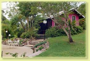 Jacaranda Cottage - Accommodation Brunswick Heads 2