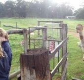 Boronia Farm Farmstay - Accommodation Brunswick Heads