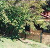 Apple Tree Cottage - Accommodation Brunswick Heads