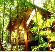 The Canopy Treehouses - Accommodation Brunswick Heads