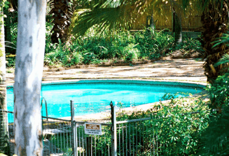 Forest Lodge Apartments - Accommodation Brunswick Heads