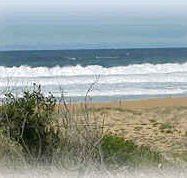 Mcgregors By The Bay - Accommodation Brunswick Heads
